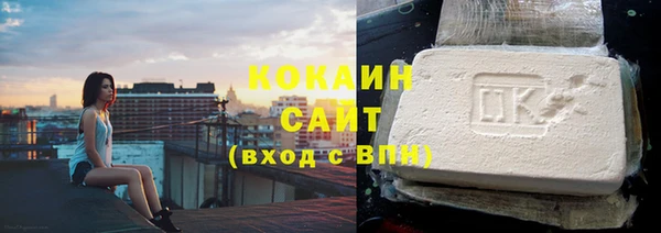 гашик Дмитровск