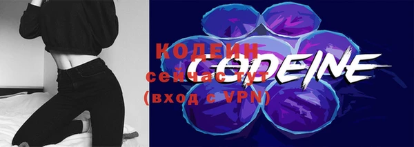 гашик Дмитровск