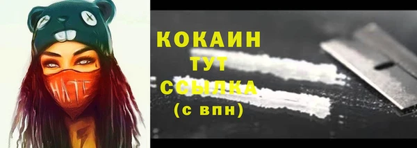 гашик Дмитровск